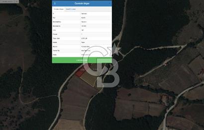 SAMSUN /KAVAK Kazancı Mahallesinde Yol Cepheli 7.136 m² Verimli Tarla