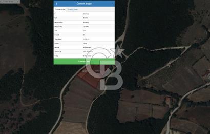 SAMSUN /KAVAK Kazancı Mahallesinde Yol Cepheli 7.136 m² Verimli Tarla