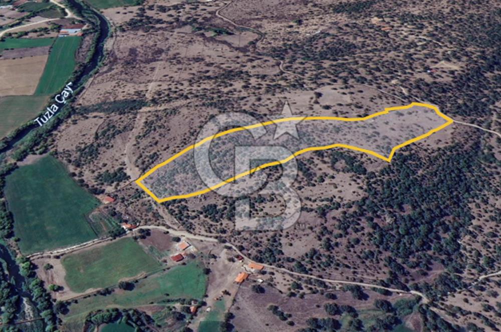 ÇANAKKALE AYVACIK SÖĞÜTLÜ' DE ASOS GÜZELGAHINDA SATILIK 40.000M2 TARLA