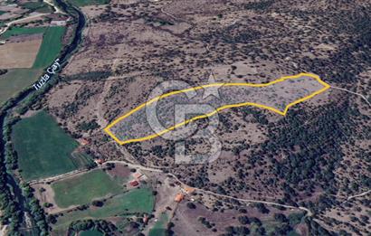 ÇANAKKALE AYVACIK SÖĞÜTLÜ' DE ASOS GÜZELGAHINDA SATILIK 40.000M2 TARLA