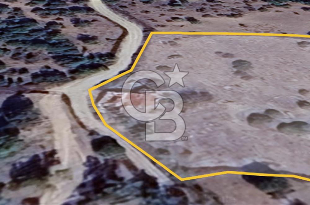 ÇANAKKALE AYVACIK SÖĞÜTLÜ' DE ASOS GÜZELGAHINDA SATILIK 40.000M2 TARLA