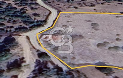 ÇANAKKALE AYVACIK SÖĞÜTLÜ' DE ASOS GÜZELGAHINDA SATILIK 40.000M2 TARLA