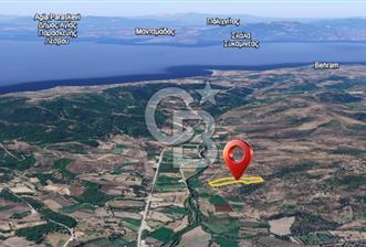 ÇANAKKALE AYVACIK SÖĞÜTLÜ' DE ASOS GÜZELGAHINDA SATILIK 40.000M2 TARLA - 1 - 318060