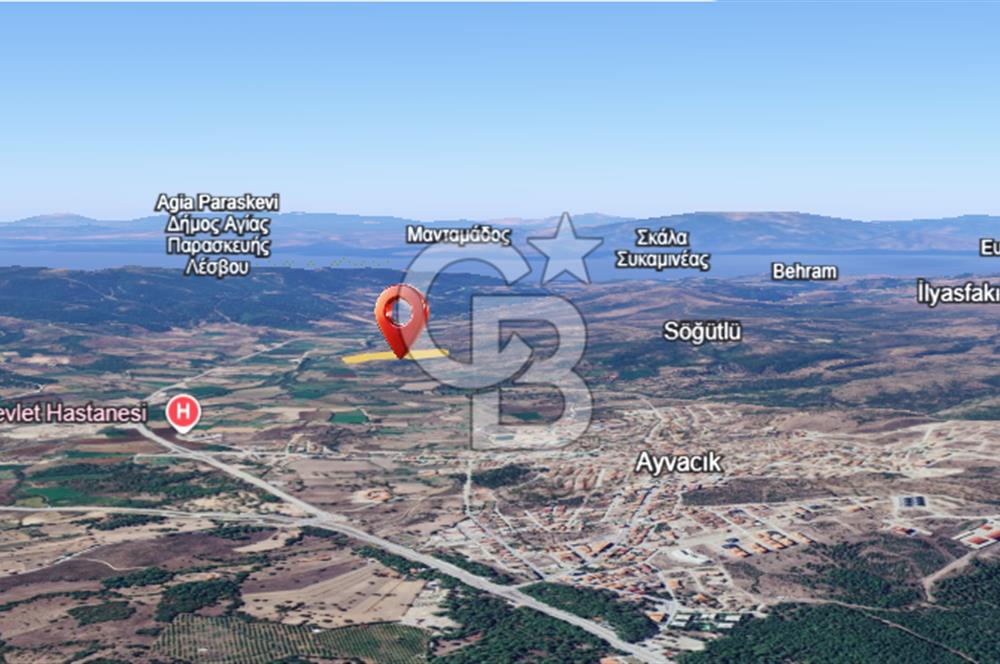 ÇANAKKALE AYVACIK SÖĞÜTLÜ' DE ASOS GÜZELGAHINDA SATILIK 40.000M2 TARLA