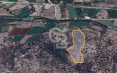 ÇANAKKALE AYVACIK SÖĞÜTLÜ' DE ASOS GÜZELGAHINDA SATILIK 40.000M2 TARLA