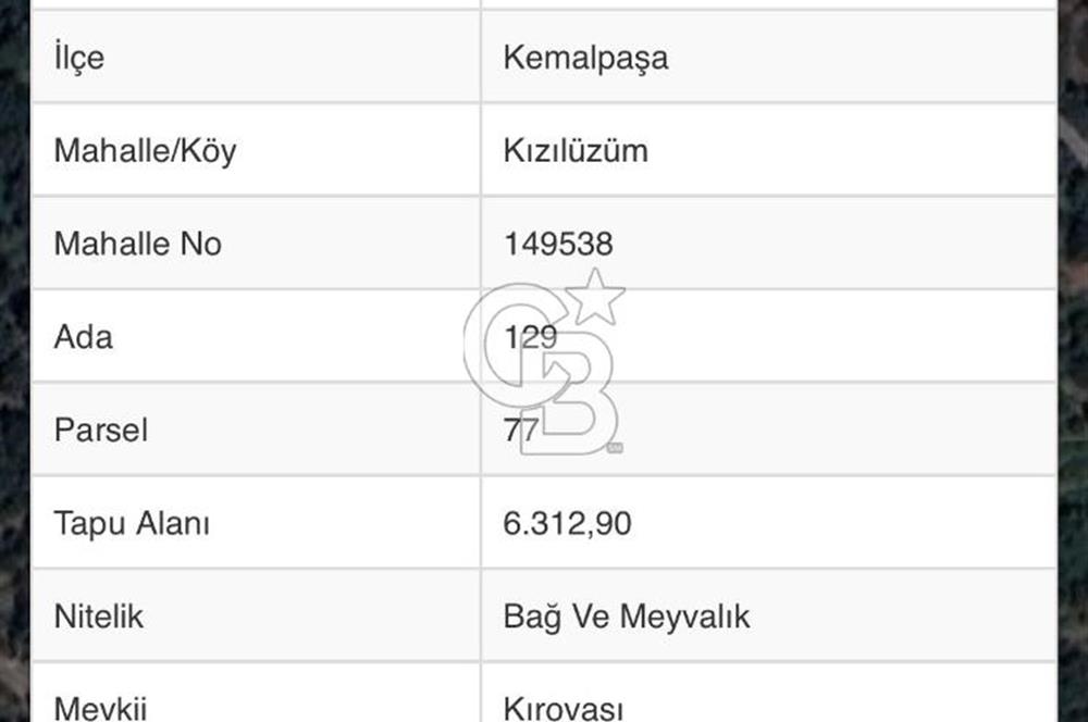 KEMALPAŞA KIZILÜZÜM MEVKİİ SATILIK 6312 m2 BAĞ