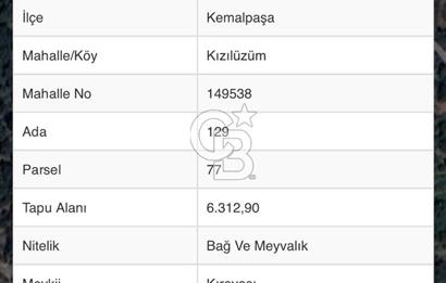 KEMALPAŞA KIZILÜZÜM MEVKİİ SATILIK 6312 m2 BAĞ