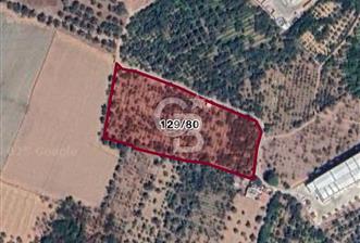 KEMALPAŞA KIZILÜZÜM'DE TARIMSAL DEPOLAMA İMARLI SATILIK ARSA  - 3 - 318008