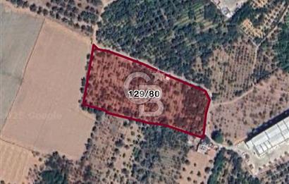 KEMALPAŞA KIZILÜZÜM'DE TARIMSAL DEPOLAMA İMARLI SATILIK ARSA 