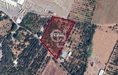 KEMALPAŞA KIZILÜZÜM MEVKİİ DEPO İMARLI SATILIK ARSA 