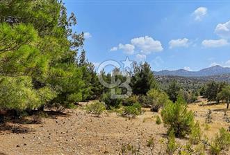 Çal Süller'de Satılık Arazi - 3 - 318064