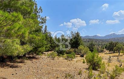 Çal Süller'de Satılık Arazi