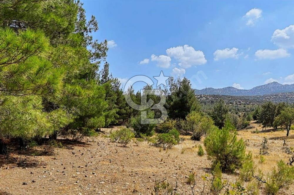 Çal Süller'de Satılık Arazi