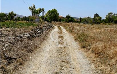 Uşak Ulubey Hasköy'de İmar Yakını Satılık Tarla