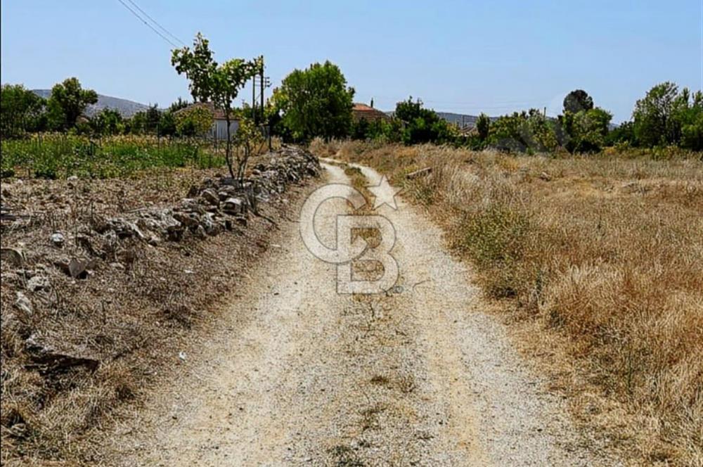 Uşak Ulubey Hasköy'de İmar Yakını Satılık Tarla