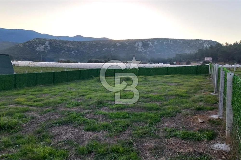 Menderes Çamönü Mahallesi Kasabalı Konut Yapı Koop. 380 m2 Hisse