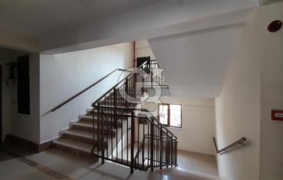 TOKİ ALTINŞEHİR KONUTLARIN'DA 2+1 KİRALIK DAİRE