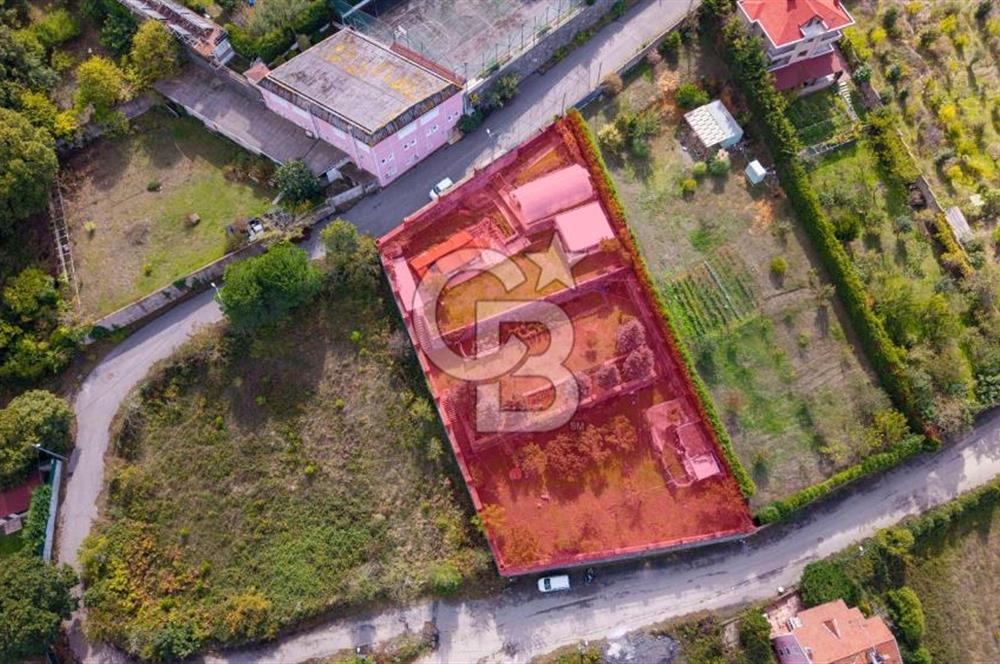 Beykoz Çavuşbaşı Satılık 1925 m2 Villa İmarlı Arsa
