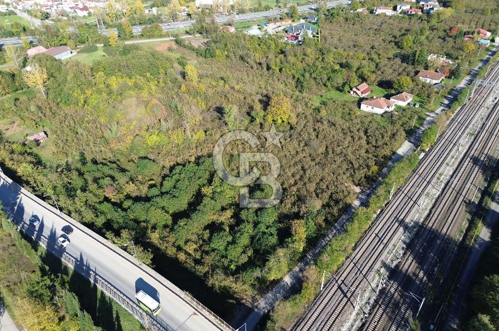 CB ENVOY'dan Kartepe Maşukiye'de 6390 m2 Satılık İmarlı Arsa