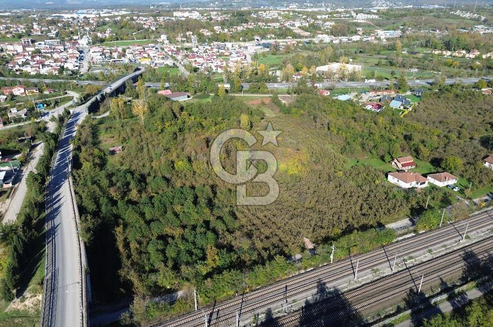 CB ENVOY'dan Kartepe Maşukiye'de 6390 m2 Satılık İmarlı Arsa