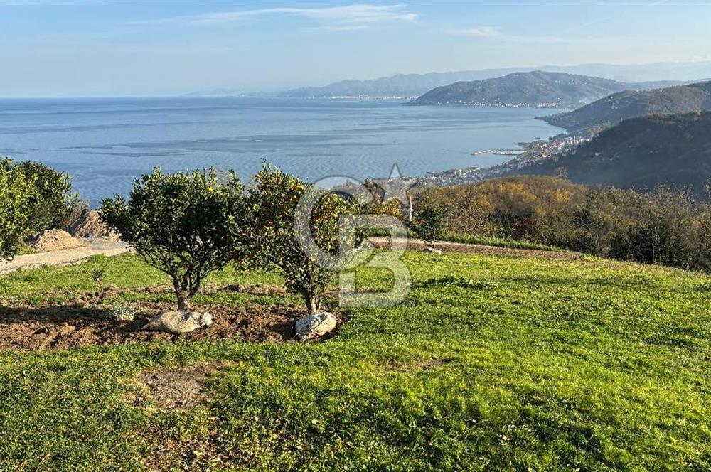 Kapıdan adım atar atmaz 'Biz burada yaşarız' dedirten 5.700 m2 içerisinde dubleks ev