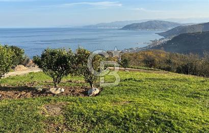 Kapıdan adım atar atmaz 'Biz burada yaşarız' dedirten 5.700 m2 içerisinde dubleks ev