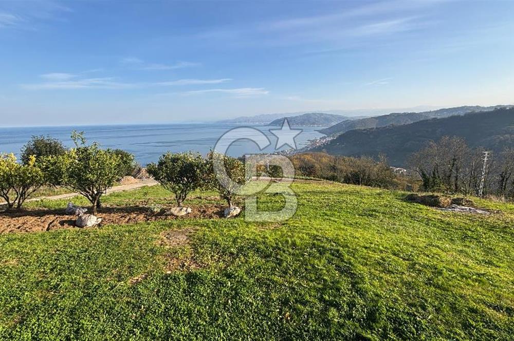 Kapıdan adım atar atmaz 'Biz burada yaşarız' dedirten 5.700 m2 içerisinde dubleks ev