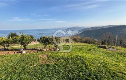 Kapıdan adım atar atmaz 'Biz burada yaşarız' dedirten 5.700 m2 içerisinde dubleks ev