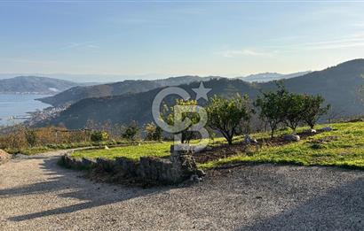 Kapıdan adım atar atmaz 'Biz burada yaşarız' dedirten 5.700 m2 içerisinde dubleks ev