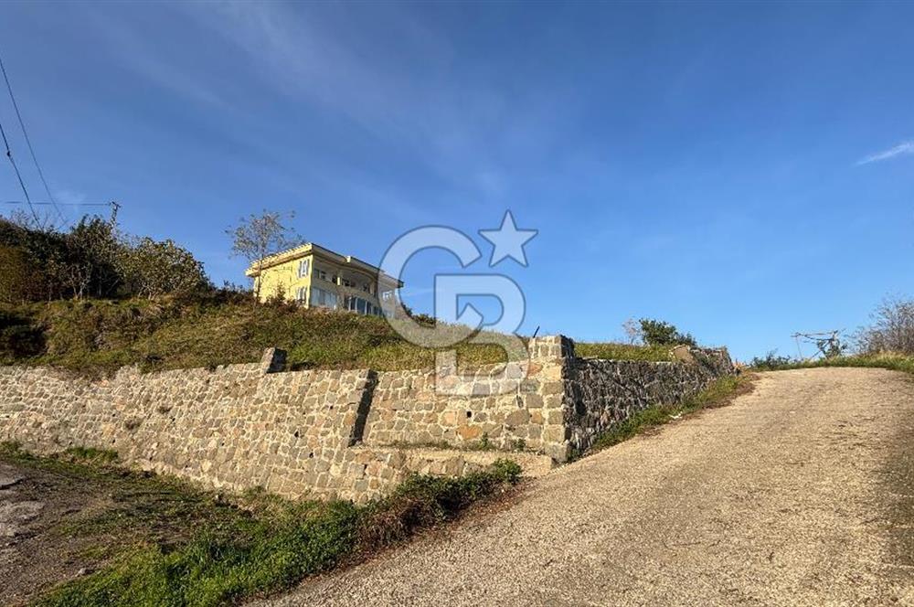 Kapıdan adım atar atmaz 'Biz burada yaşarız' dedirten 5.700 m2 içerisinde dubleks ev