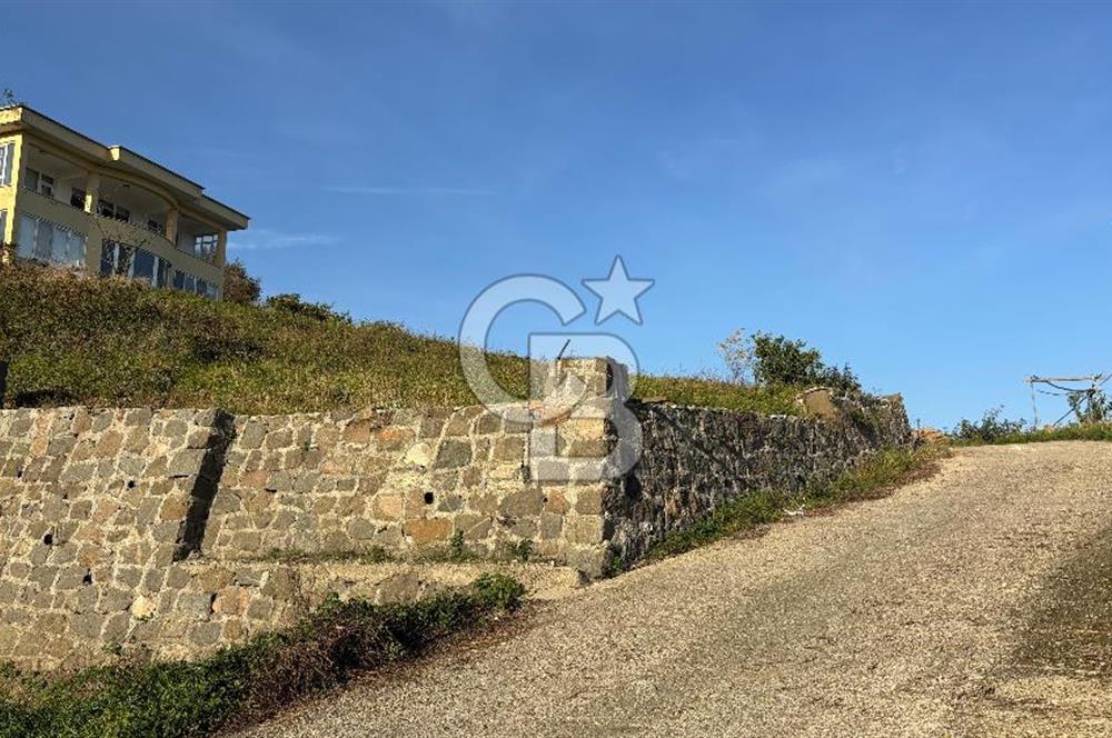 Kapıdan adım atar atmaz 'Biz burada yaşarız' dedirten 5.700 m2 içerisinde dubleks ev