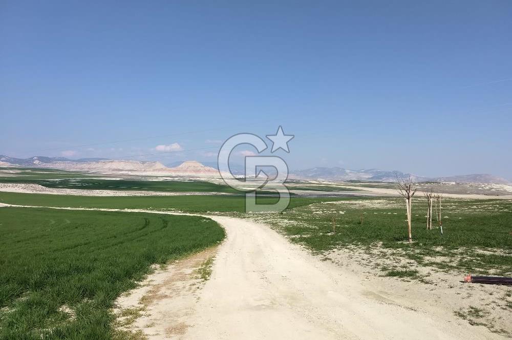 Ankara,Nallıhan,Çayırhan 22.112,23 m2 tarla