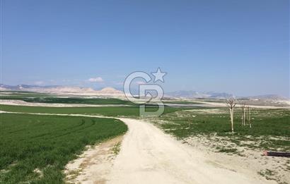 Ankara,Nallıhan,Çayırhan 22.112,23 m2 tarla