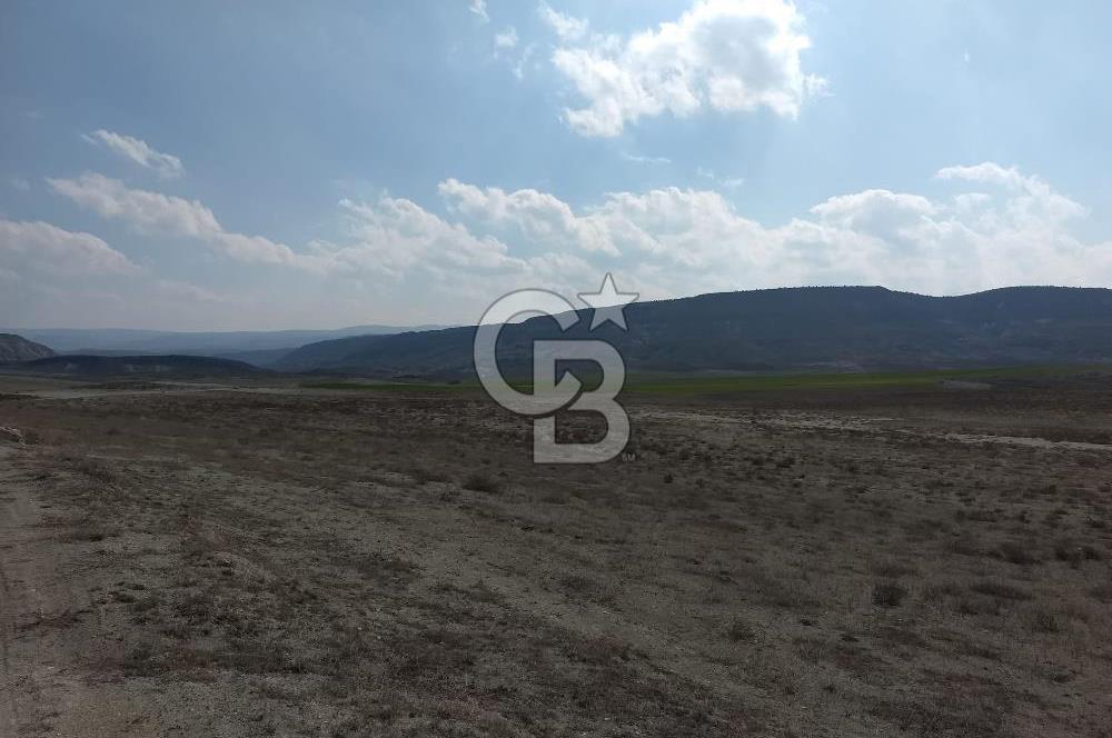 Ankara,Nallıhan,Çayırhan 22.112,23 m2 tarla