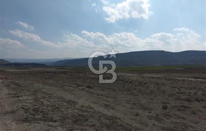 Ankara,Nallıhan,Çayırhan 22.112,23 m2 tarla