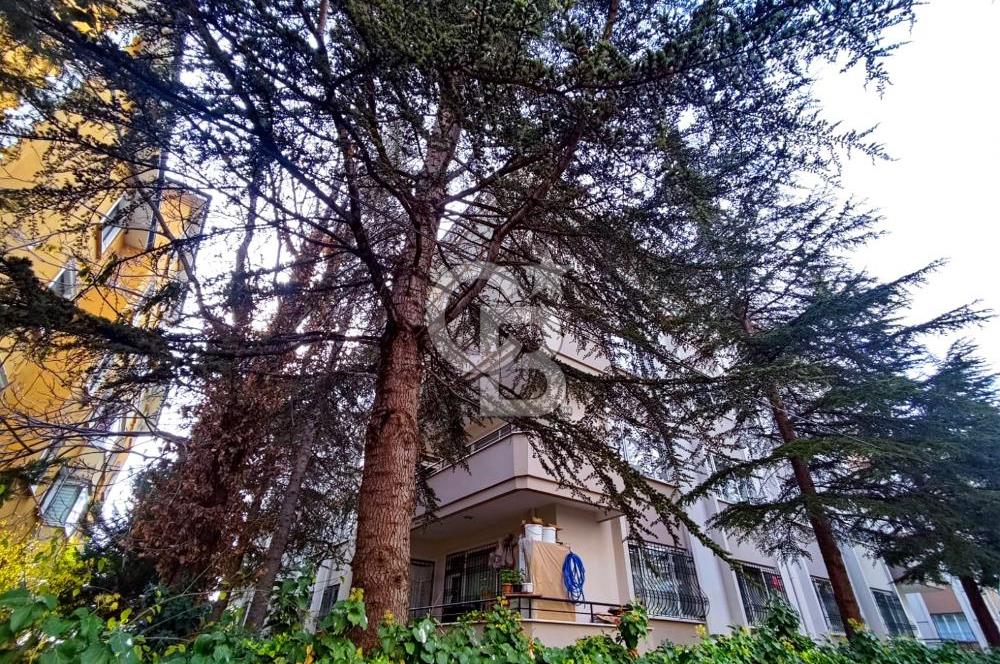 CB'DEN MERAM ALAVARDI MAHALLESİNDE KİRALIK 3+1 DAİRE