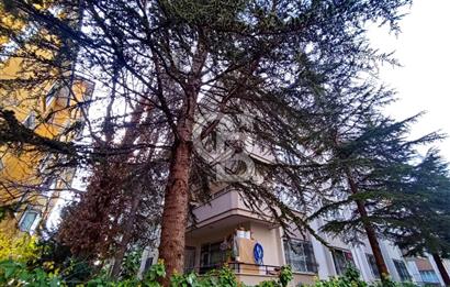 CB'DEN MERAM ALAVARDI MAHALLESİNDE KİRALIK 3+1 DAİRE