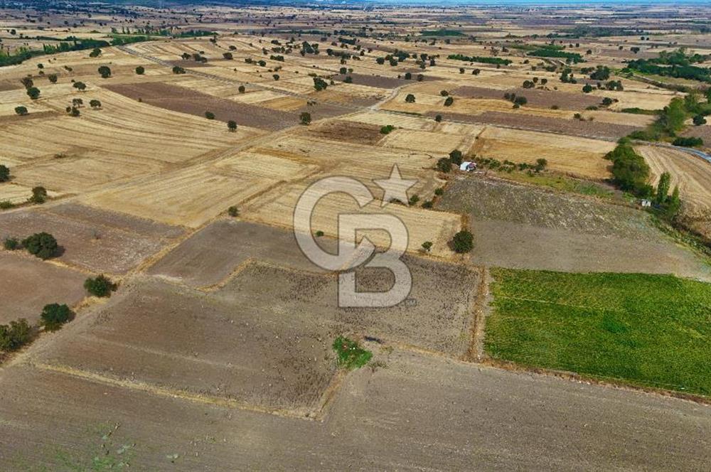 ÇANAKKALE BİGA BALIKLIÇEŞME 2850 m2 SATILIK TARLA