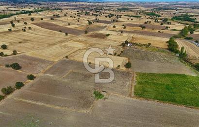 ÇANAKKALE BİGA BALIKLIÇEŞME 2850 m2 SATILIK TARLA