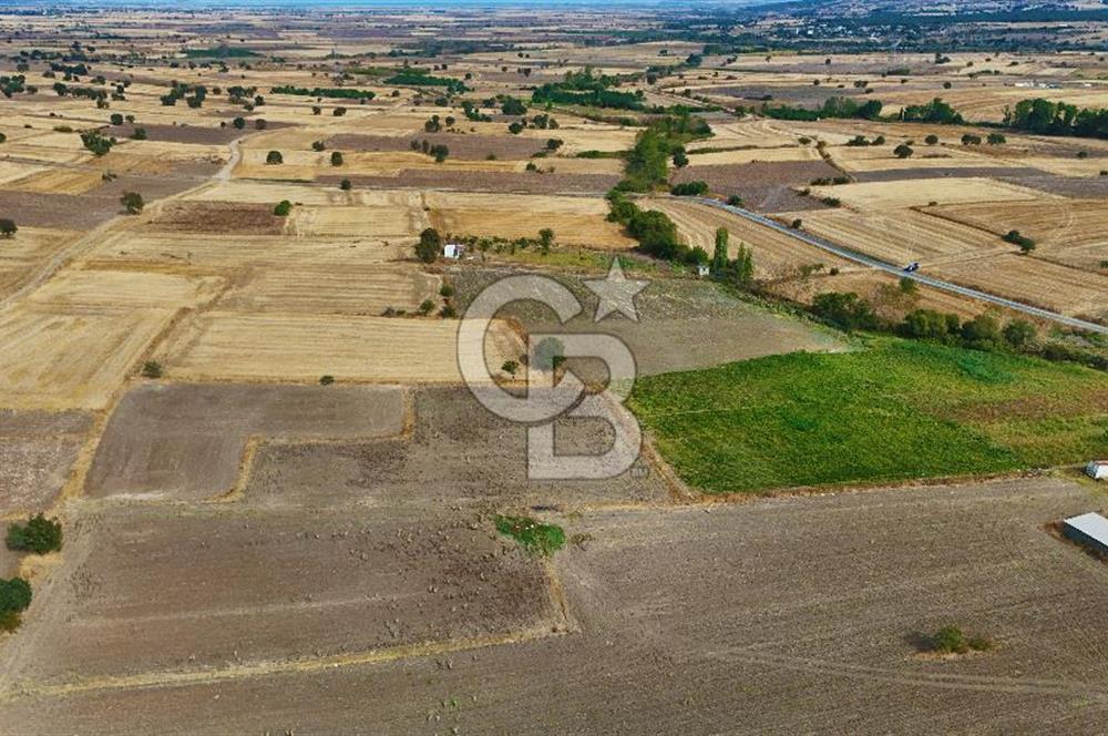 ÇANAKKALE BİGA BALIKLIÇEŞME 2850 m2 SATILIK TARLA