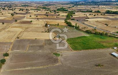ÇANAKKALE BİGA BALIKLIÇEŞME 2850 m2 SATILIK TARLA