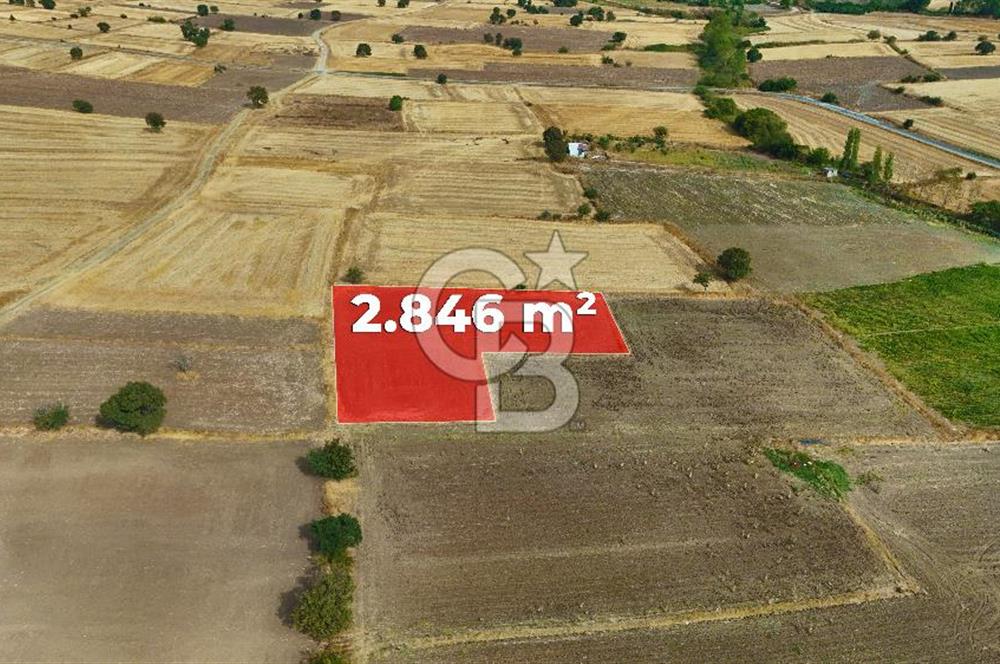 ÇANAKKALE BİGA BALIKLIÇEŞME 2850 m2 SATILIK TARLA