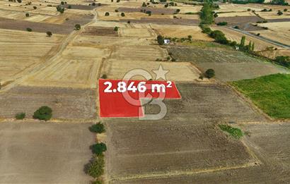 ÇANAKKALE BİGA BALIKLIÇEŞME 2850 m2 SATILIK TARLA