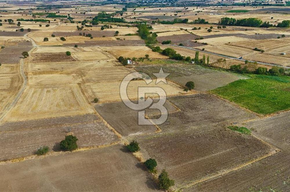 ÇANAKKALE BİGA BALIKLIÇEŞME 2850 m2 SATILIK TARLA