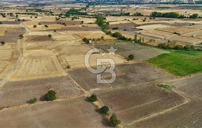 ÇANAKKALE BİGA BALIKLIÇEŞME 2850 m2 SATILIK TARLA