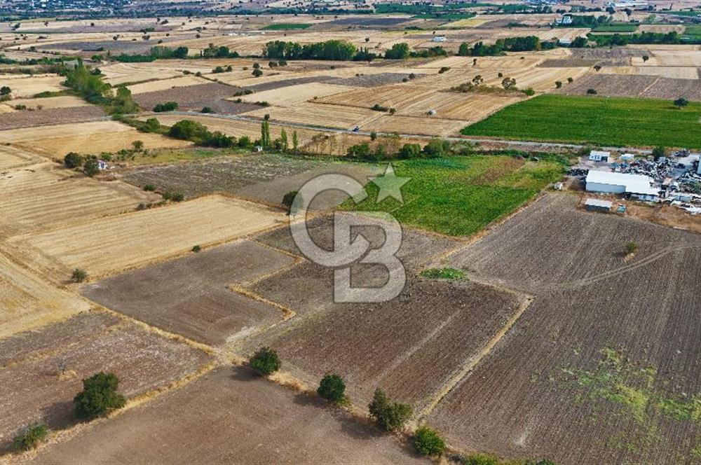 ÇANAKKALE BİGA BALIKLIÇEŞME 2850 m2 SATILIK TARLA