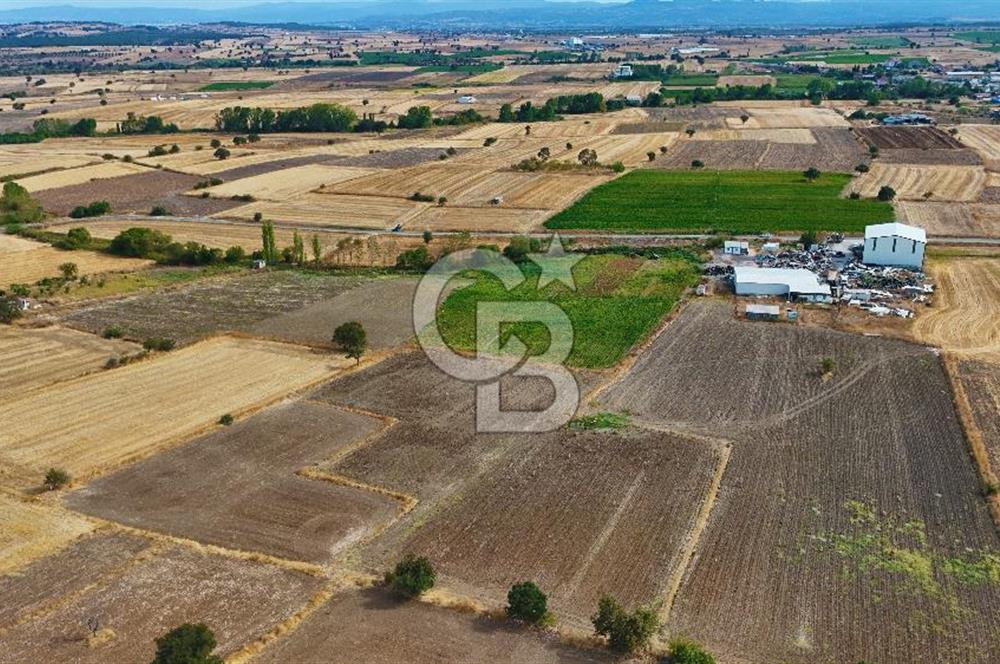 ÇANAKKALE BİGA BALIKLIÇEŞME 2850 m2 SATILIK TARLA