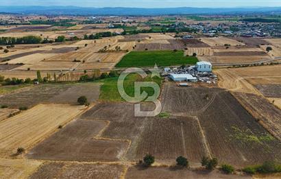 ÇANAKKALE BİGA BALIKLIÇEŞME 2850 m2 SATILIK TARLA