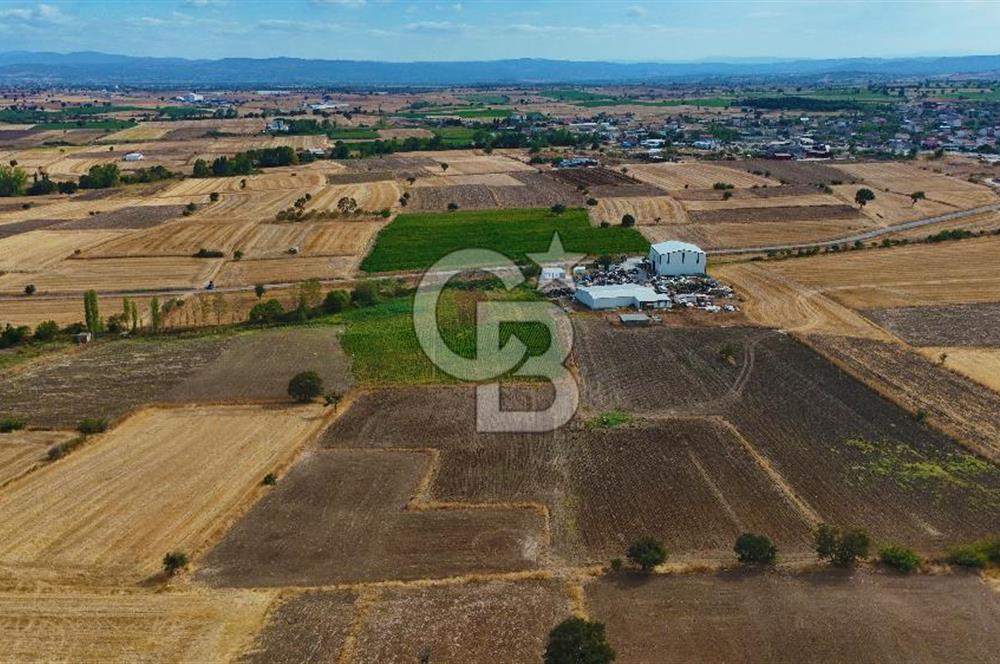 ÇANAKKALE BİGA BALIKLIÇEŞME 2850 m2 SATILIK TARLA