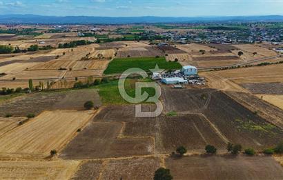 ÇANAKKALE BİGA BALIKLIÇEŞME 2850 m2 SATILIK TARLA